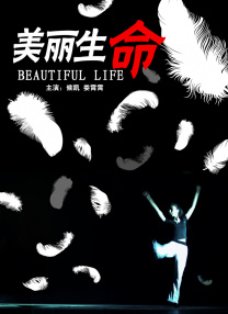 中文字幕欧美一区二区