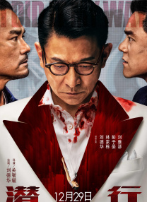 美女免费黄视频网站
